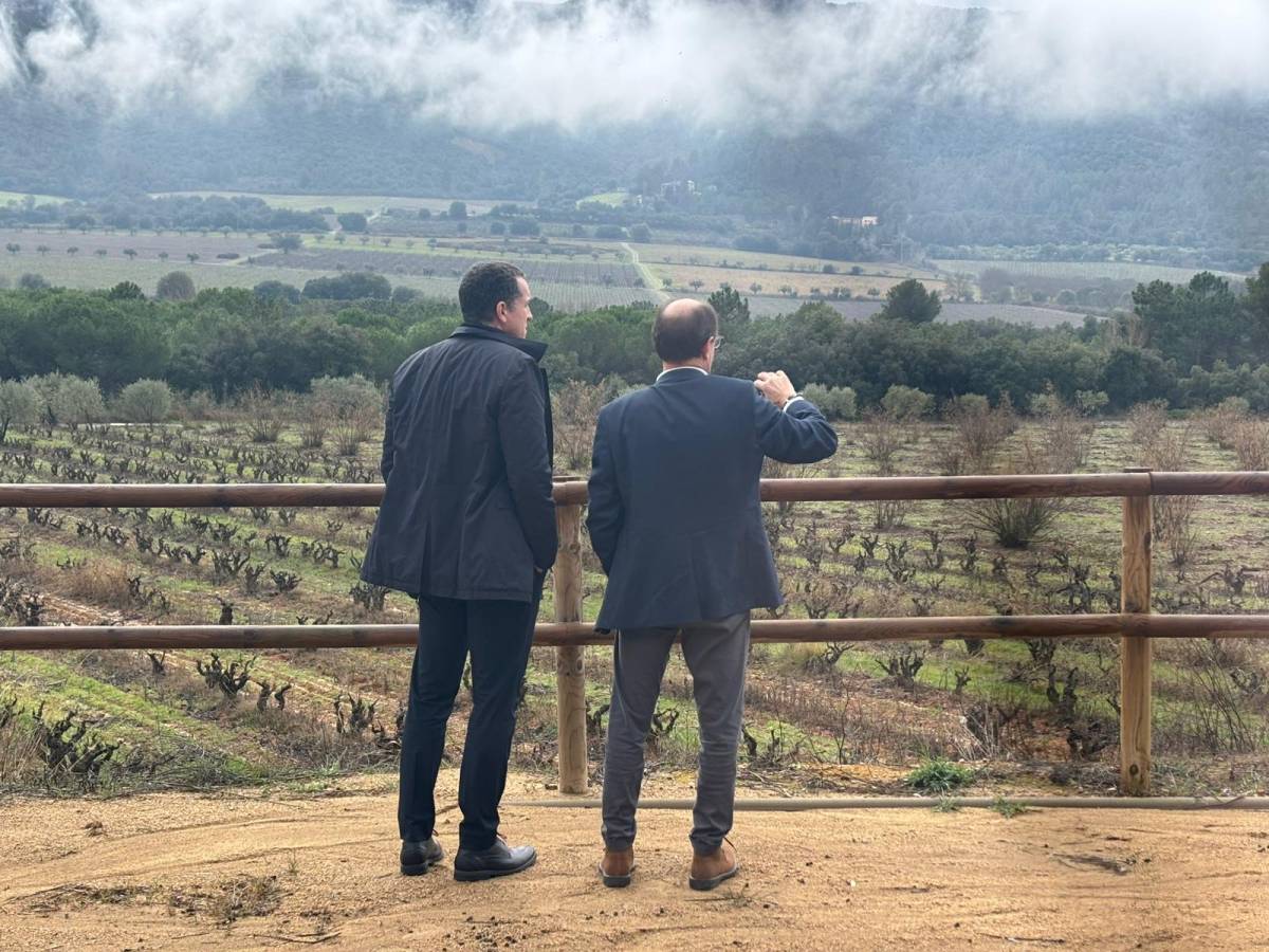 Catalunya atorga ajuts a més de 200 ajuntaments per prevenir incendis forestals