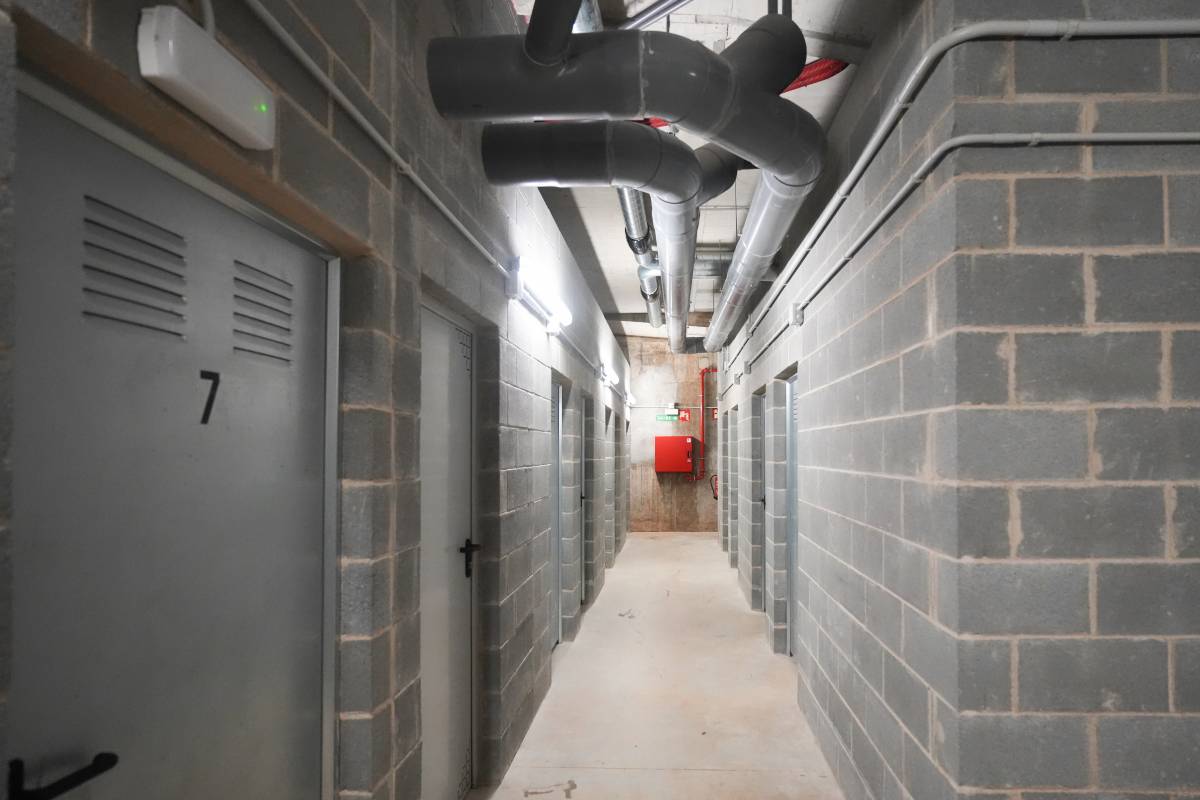 Dumo Trasters - DAVID CHAO