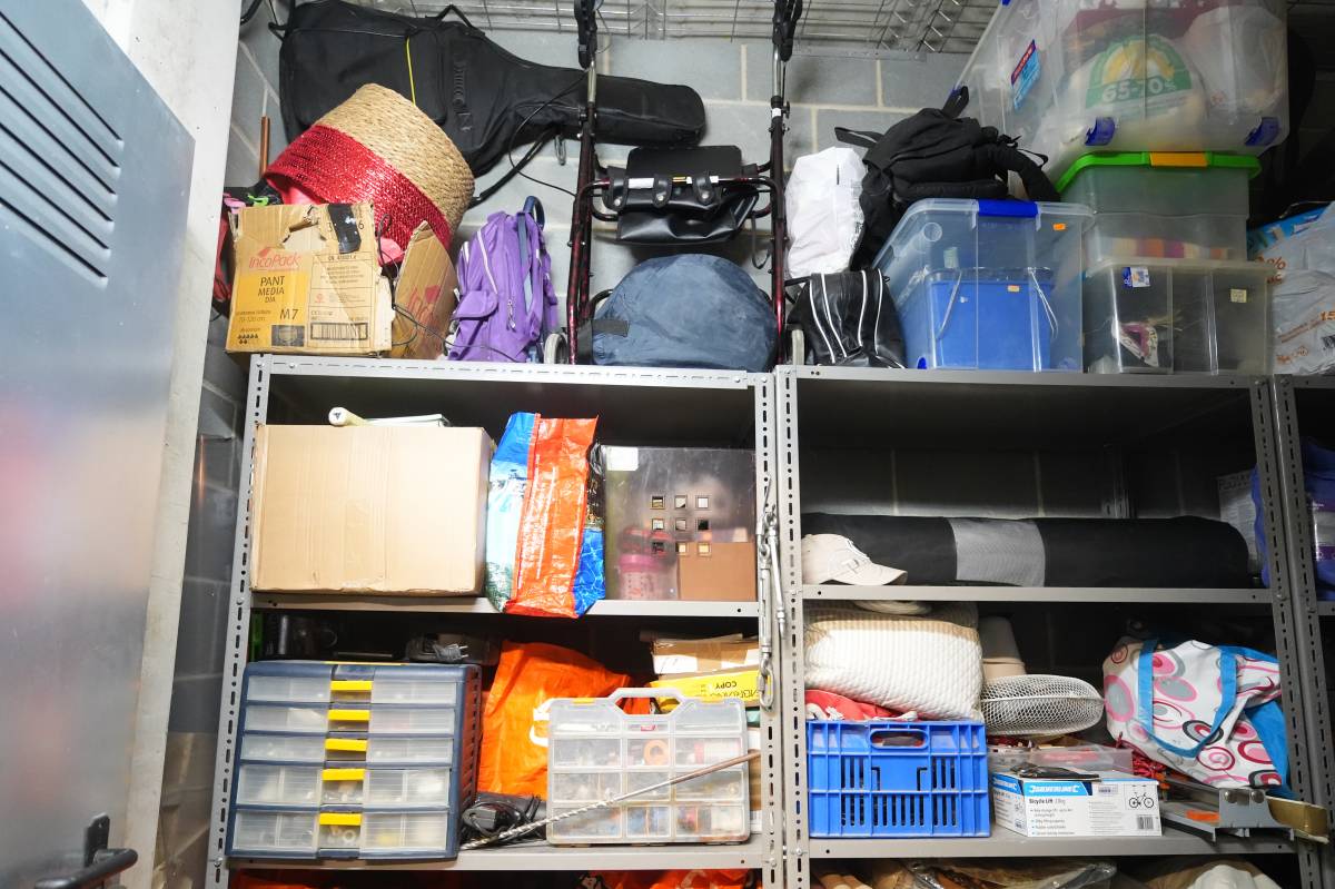 Dumo Trasters - DAVID CHAO