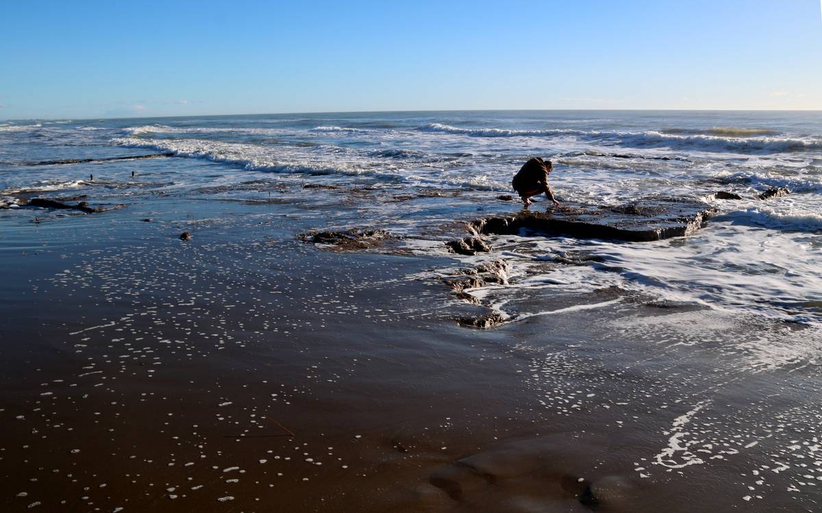 Apareixen restes d’estructures a la punta de la Banya arran del temporal Harry
