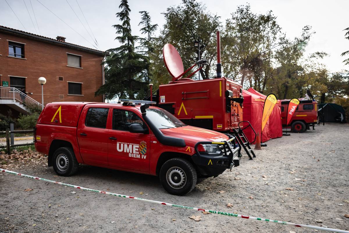 Efectius de l`UME pel brot de pesta porcina africana - ACN Efectius de l`UME pel brot de pesta porcina africana