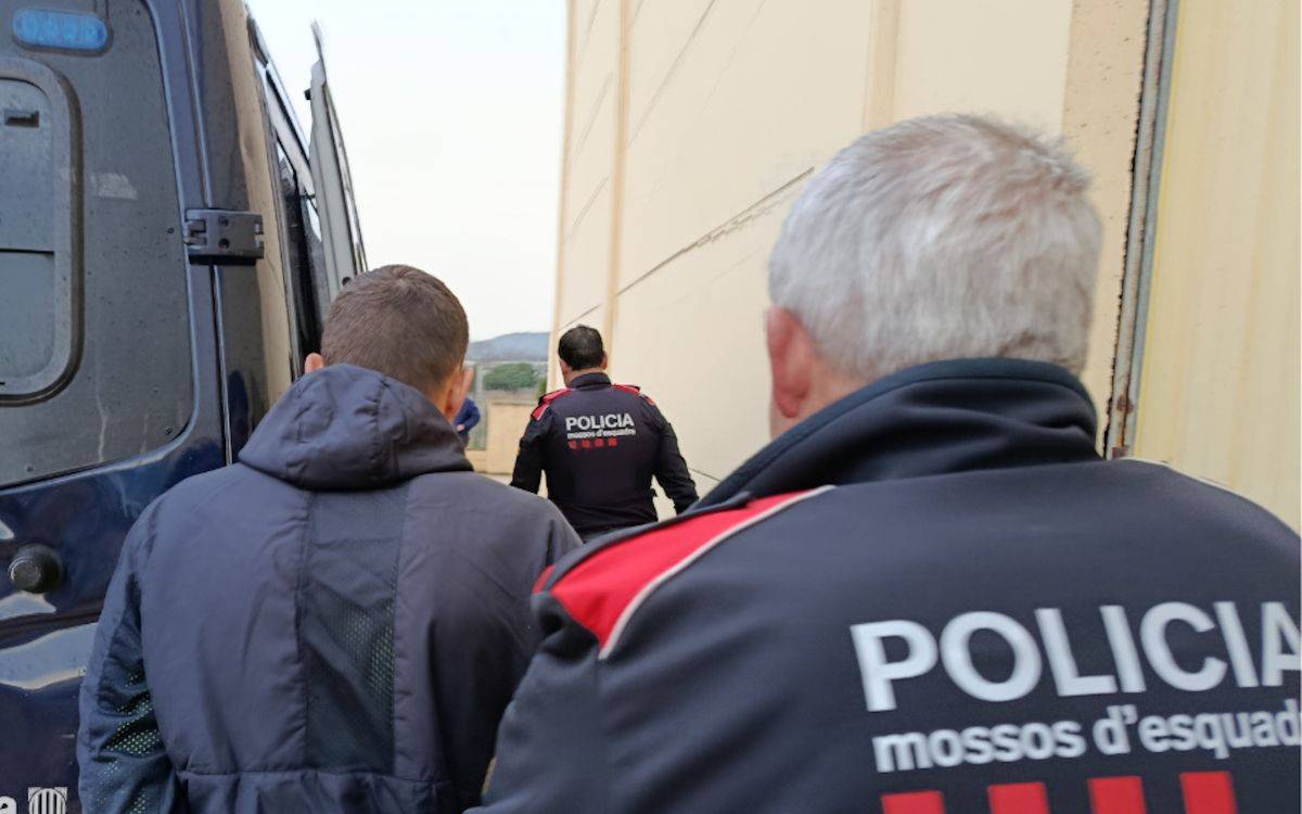 Desmantellen una plantació de marihuana en una nau industrial al Baix Penedès: hi ha un jove detingut