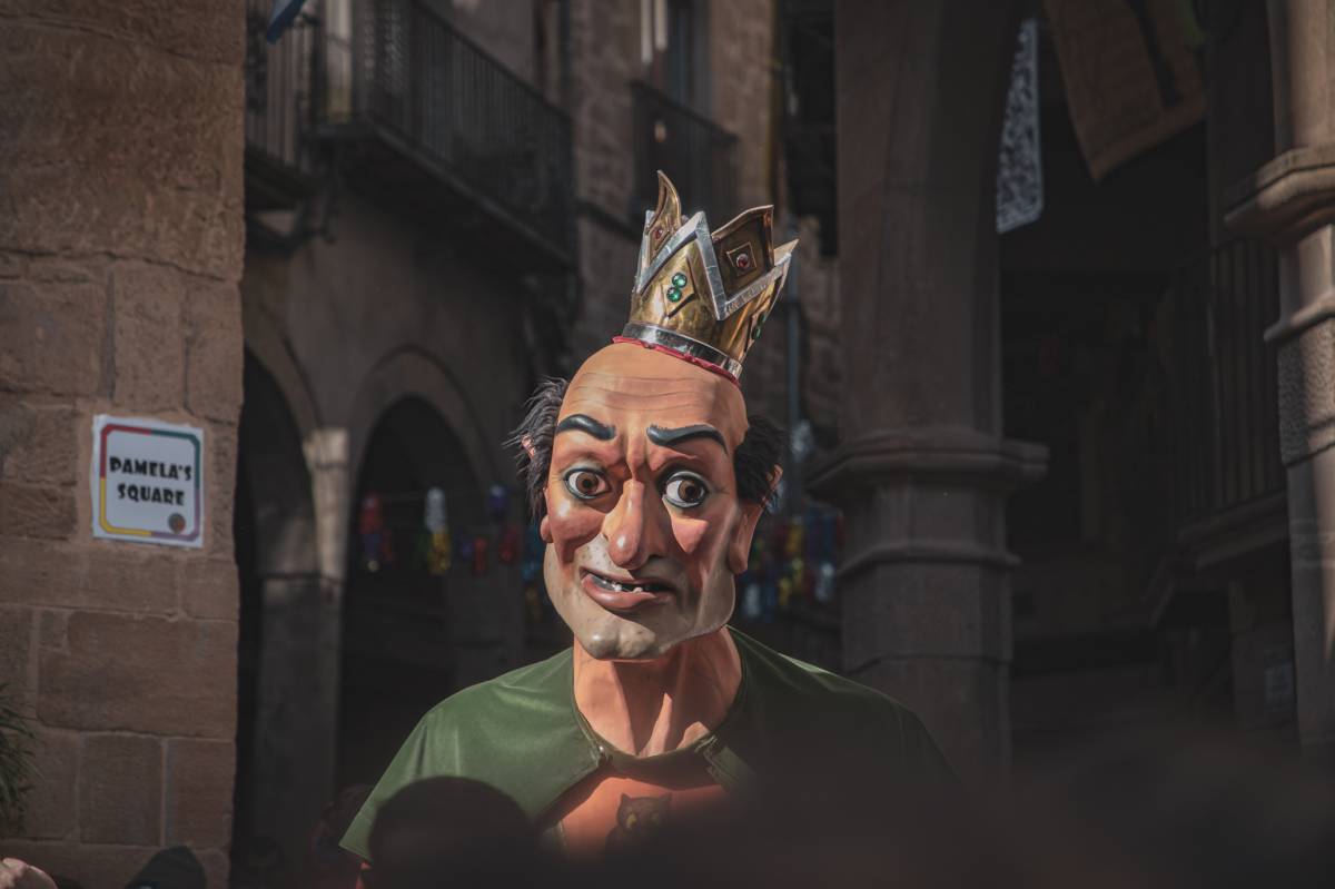 Aquests són els guanyadors dels concursos de fotografia del Carnaval 2026