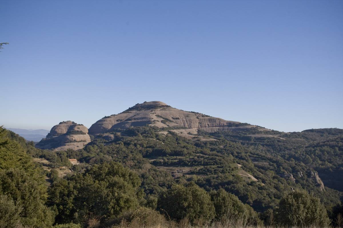 Els carlins estan de tornada als voltants de Terrassa