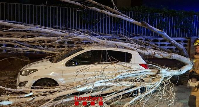 Temporal de vent: els Bombers ja superen les 700 actuacions