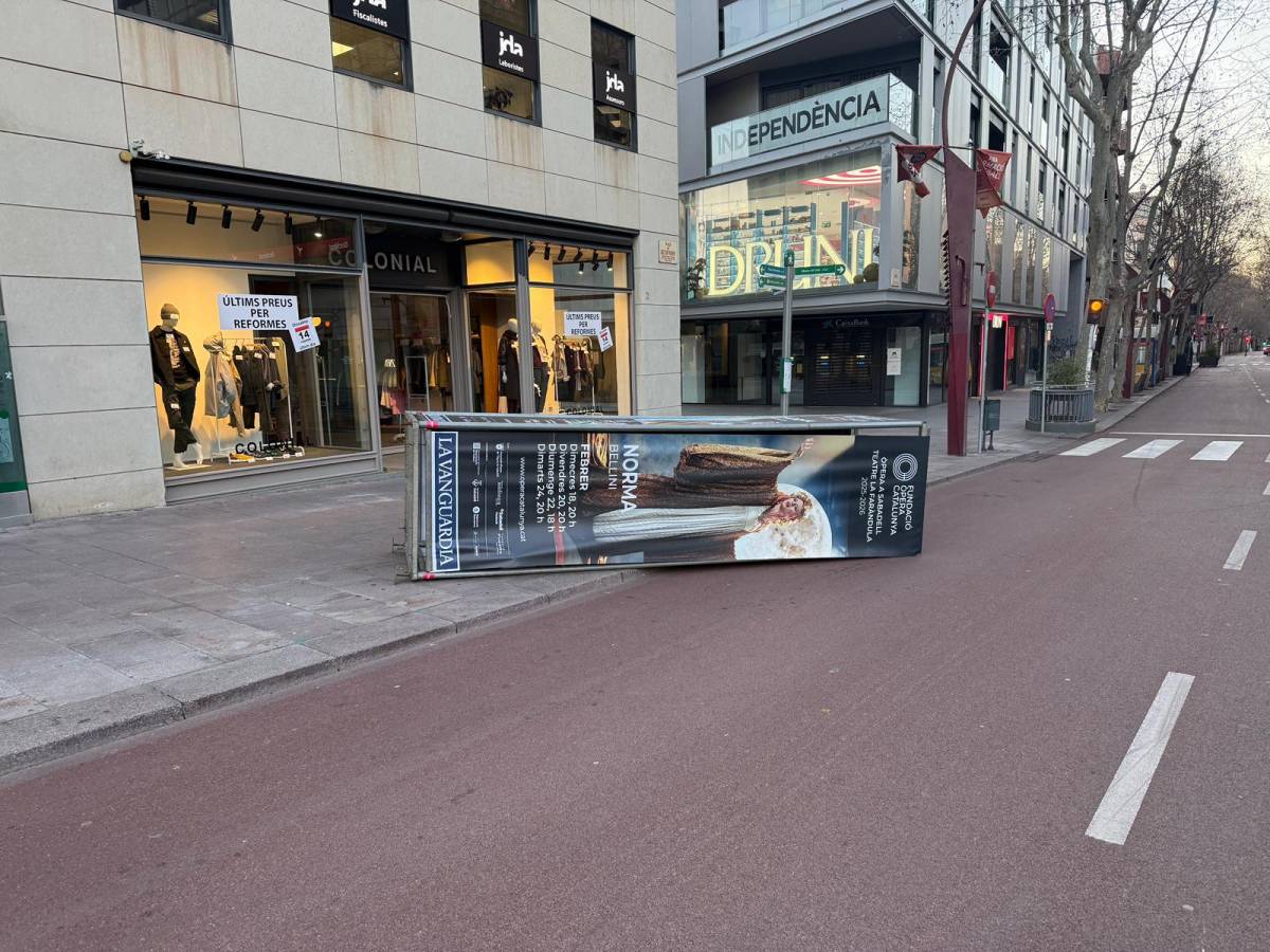 Arbres caiguts i més d'una quinzena d'actuacions de Bombers a Sabadell per les ventades