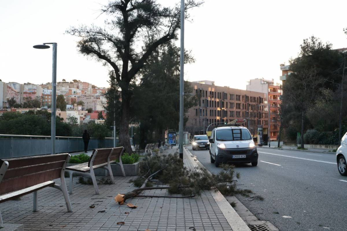 Consells de seguretat de Trànsit davant l'episodi excepcional de vent