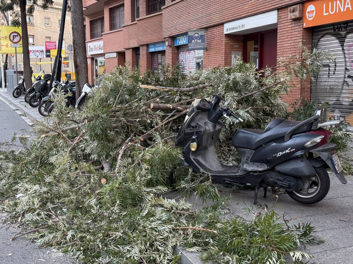 Les imatges del pitjor temporal de vent de la dècada... a Barcelona