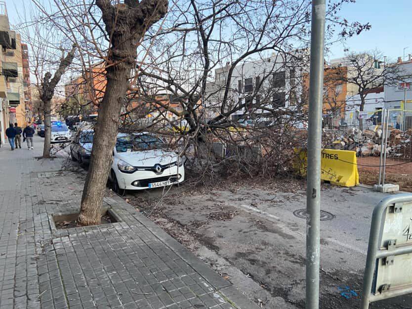 FOTOS | El temporal de vent causa estralls a Sabadell