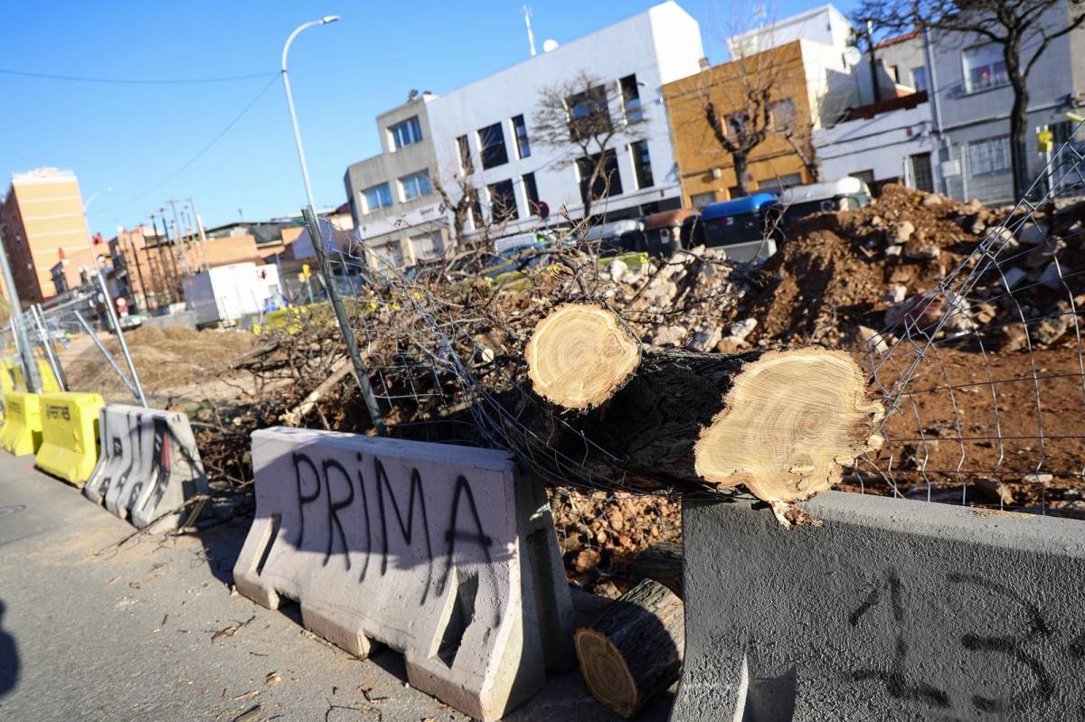 Els efectes del temporal de vent a Sabadell i la comarca