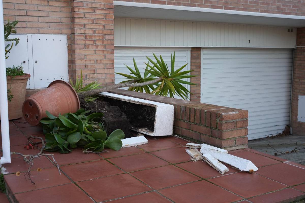 Els efectes del temporal de vent a Sabadell i la comarca