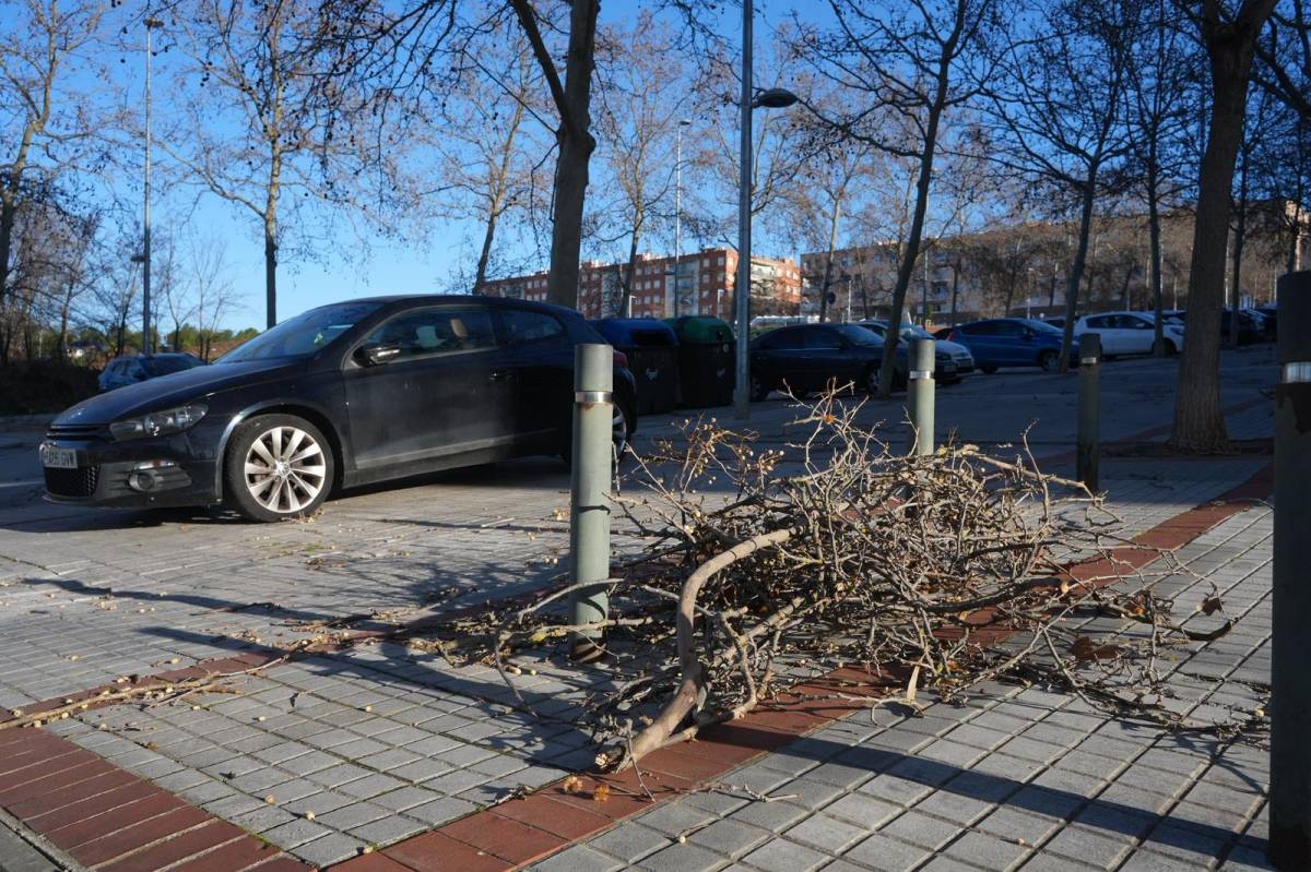 Els efectes del temporal de vent a Sabadell i la comarca