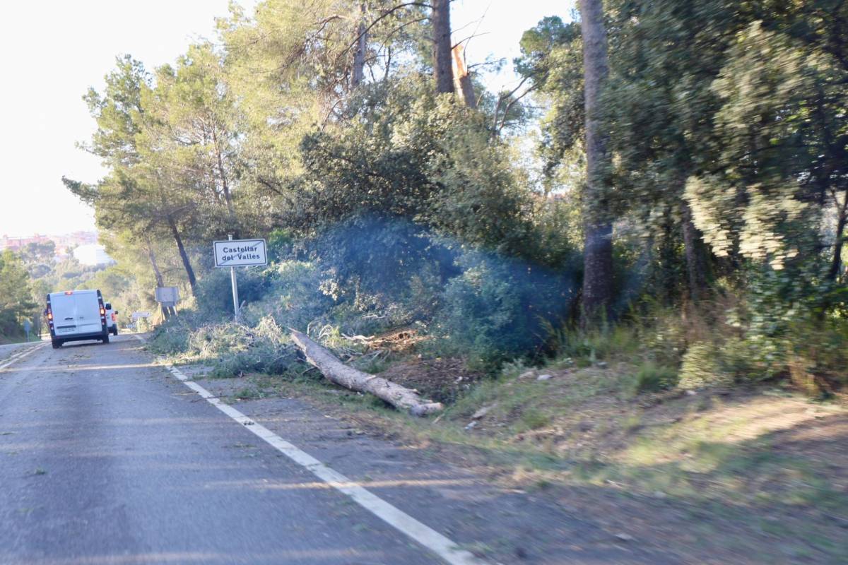 Els efectes del temporal de vent a Sabadell i la comarca