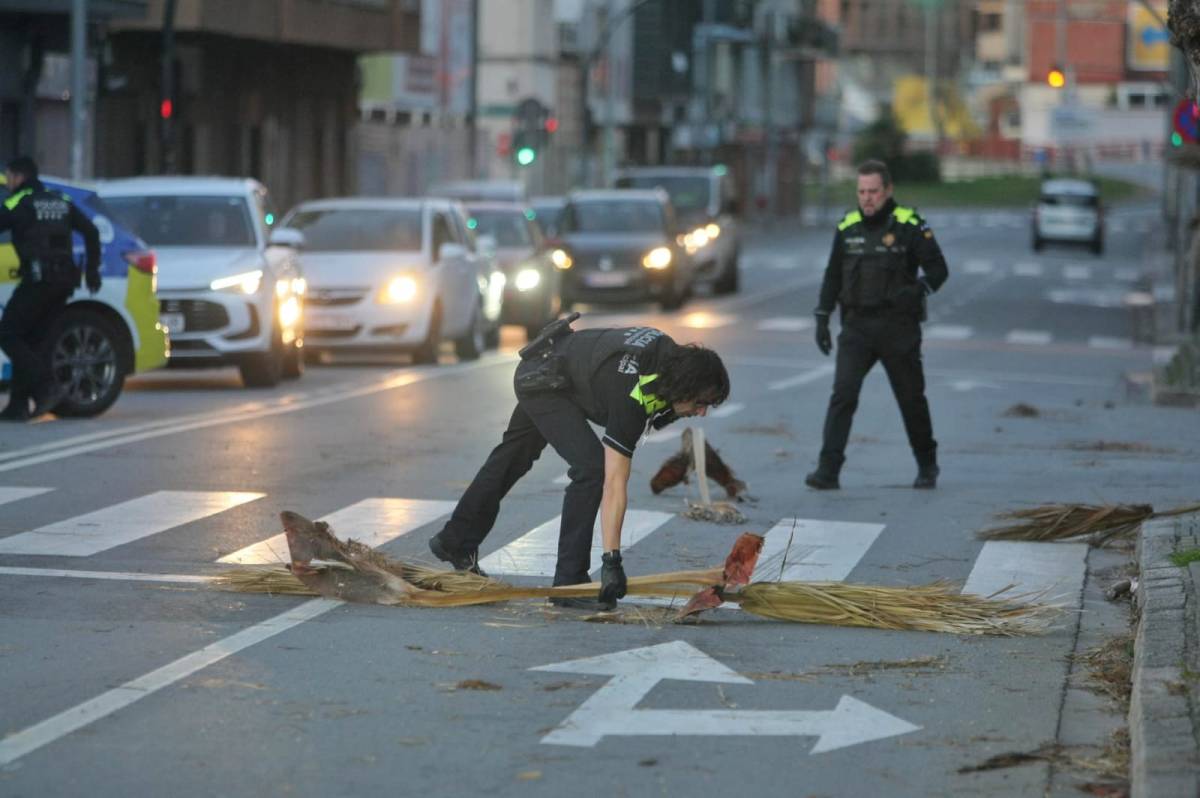 FOTOS | Els efectes de la ventada a Terrassa, en imatges