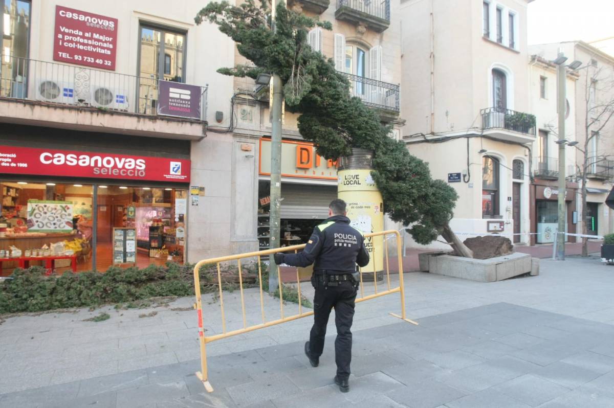 Alerta màxima per vent a Terrassa: arbres caiguts, mobiliari urbà malmès i afectacions al transport públic