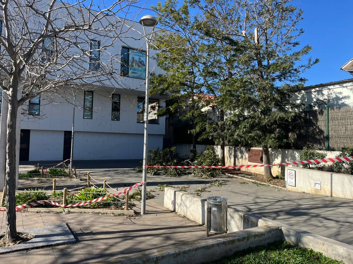 Els efectes de la ventada a la plaça de l'Ajuntament de Matadepera - Arnau Fort