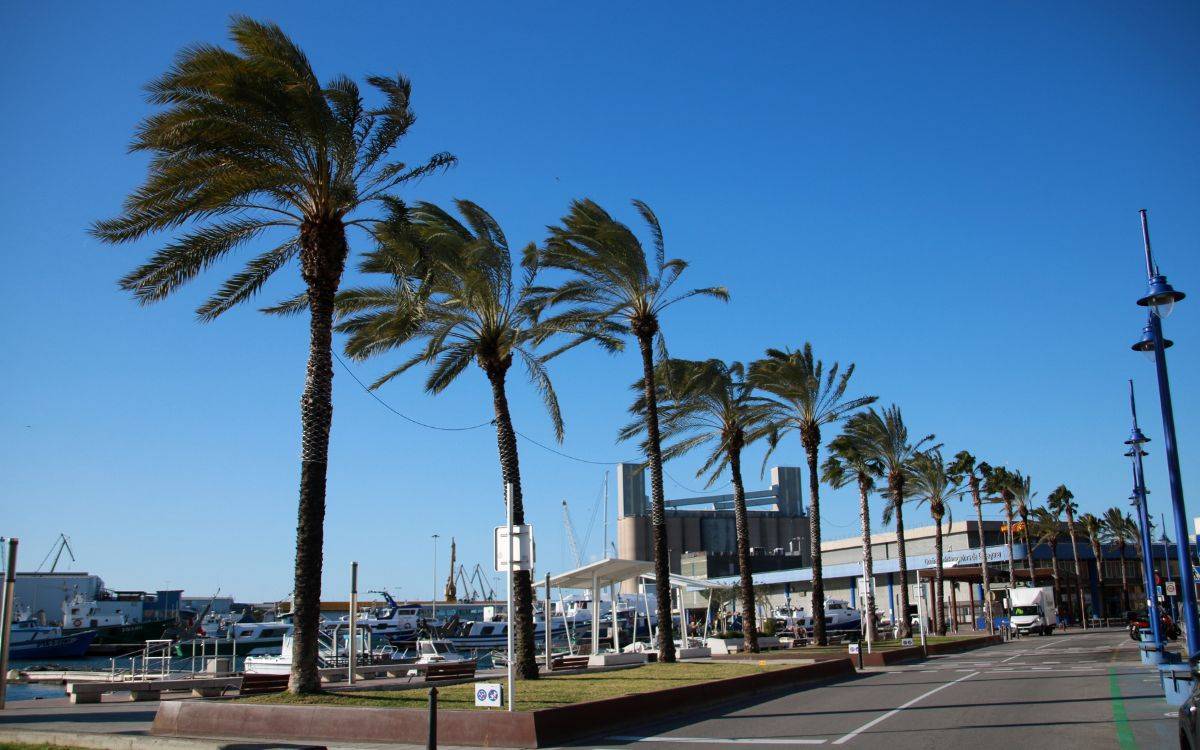 La ciutat de Tarragona registra algunes incidències a causa del temporal de vent
