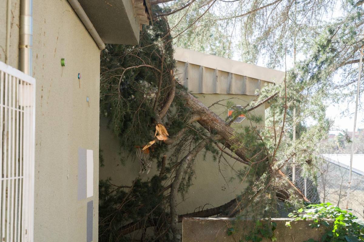 Incidències causades pel vent