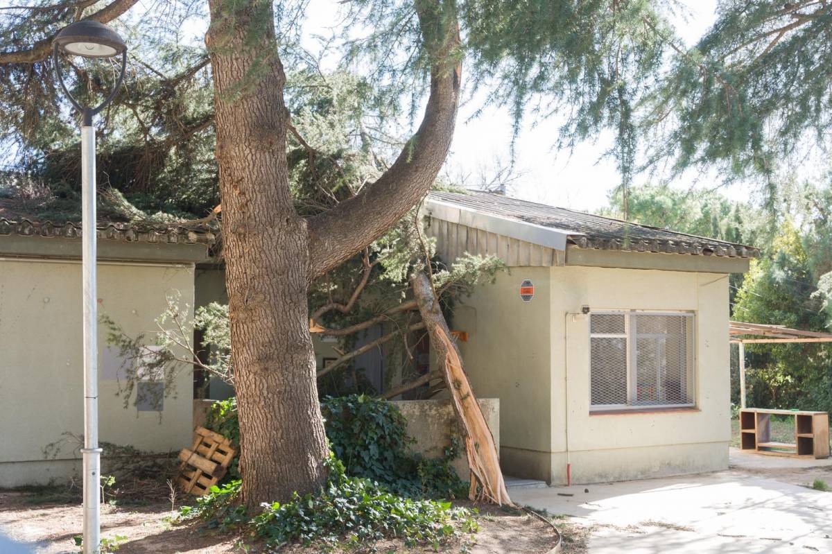 Incidències causades pel vent