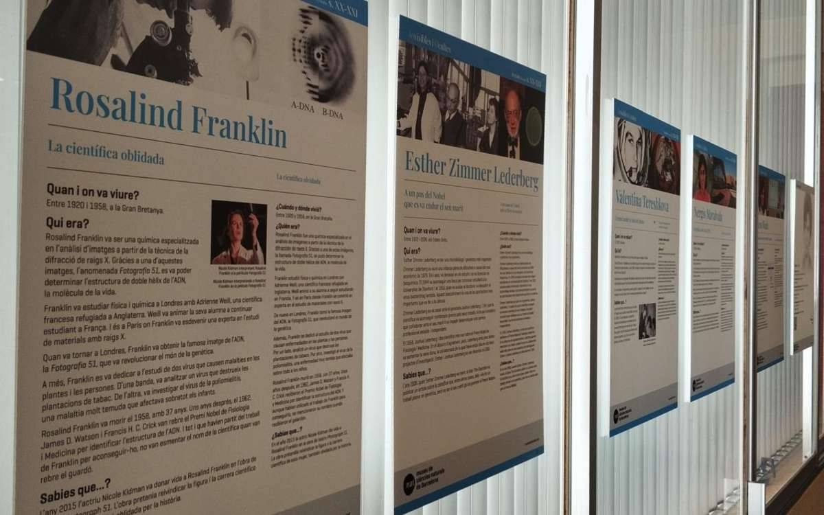 Valls desplega una nova exposició itinerant als centres educatius de la ciutat