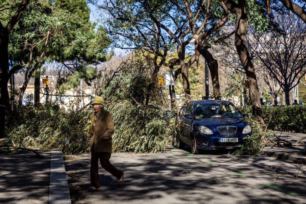 Temporal de vent: set ferits, trens afectats i 1.200 serveis dels Bombers