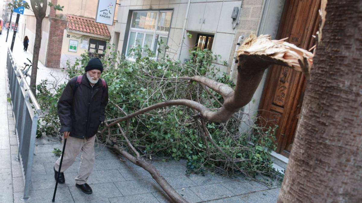 La Barcelona insòlita de la ventada, entre les desgràcies i l'anècdota visual