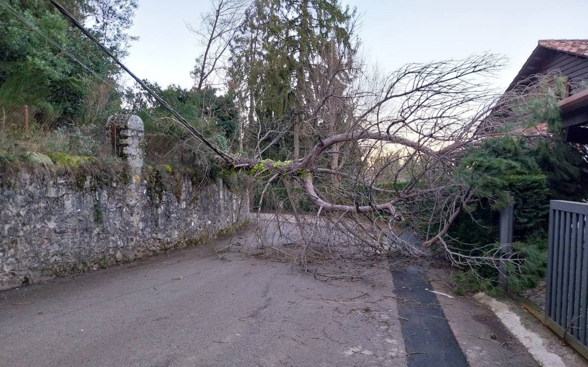Osona s'atura pel vent: sense Dijous Llarder a Vic i amb el Carnaval de Torelló a punt d'arrencar