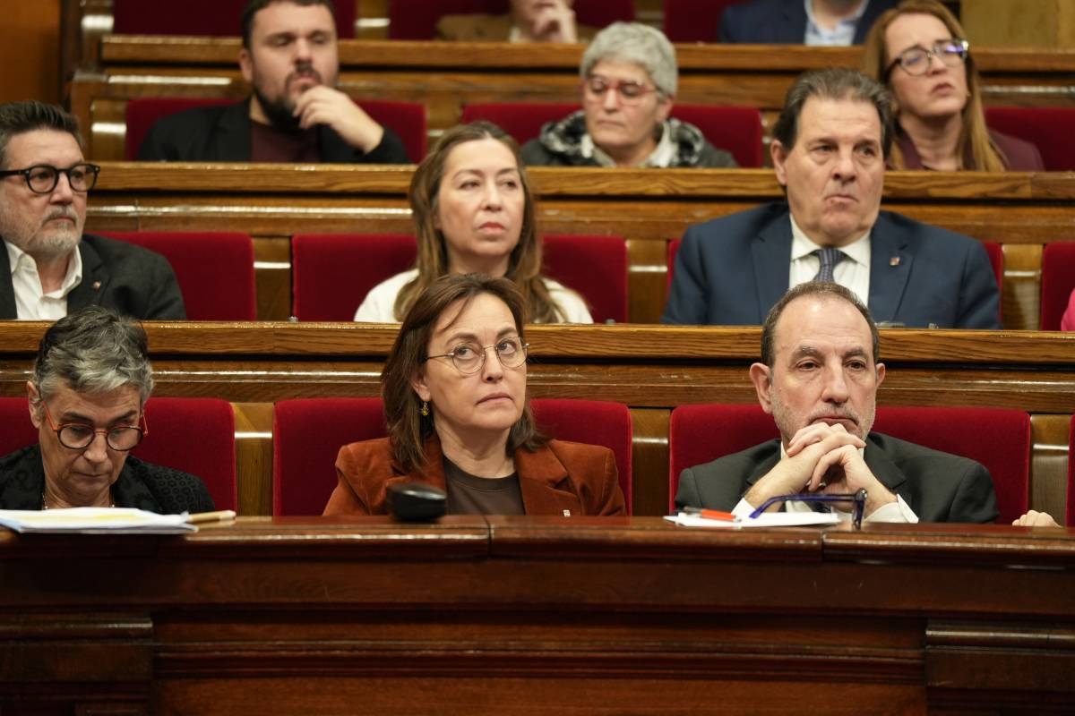 L'ES-Alert irromp de nou al Parlament en plena intervenció de Paneque: «Una altra vegada?»