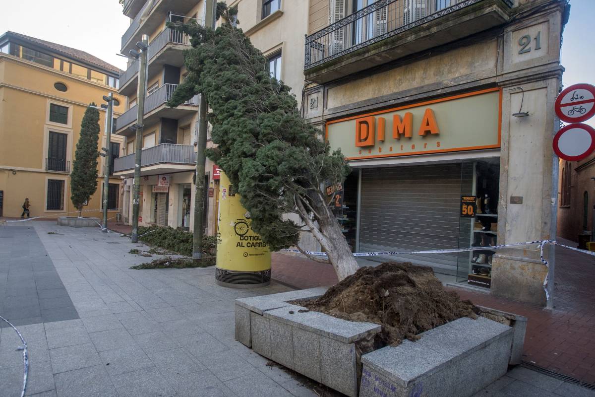 Nebridi Aróztegui / Diari de Terrassa