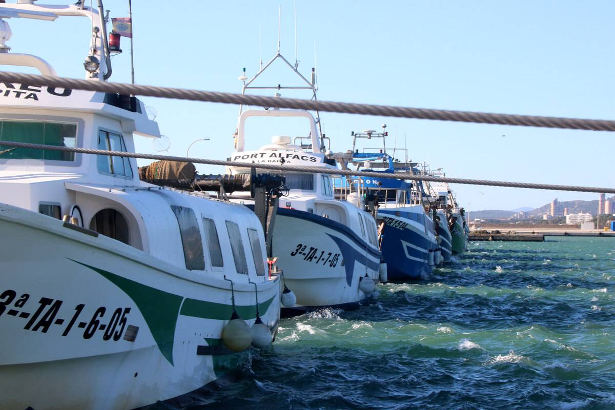 Els pescadors ebrencs amarren la flota als ports pel mestral i per guardar jornades de pesca