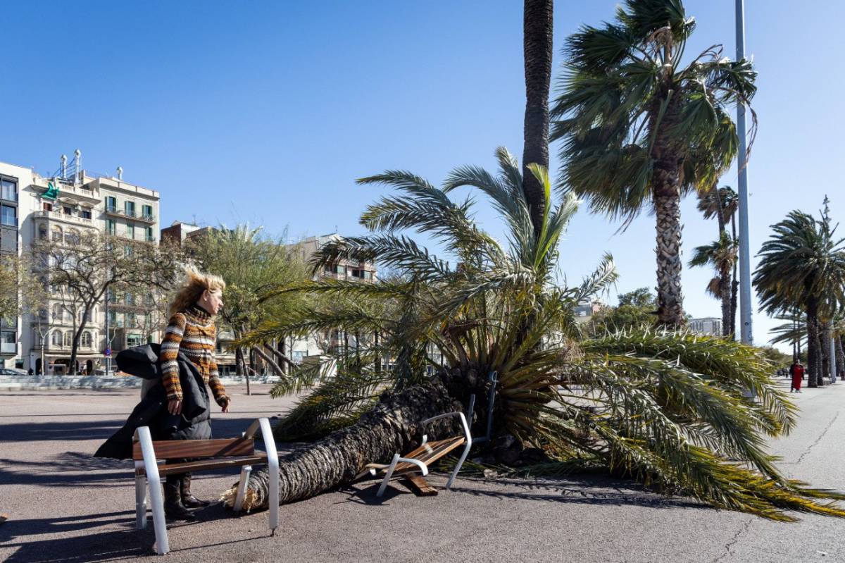 La ventada comença a remetre i el Govern aixeca la restricció de mobilitat