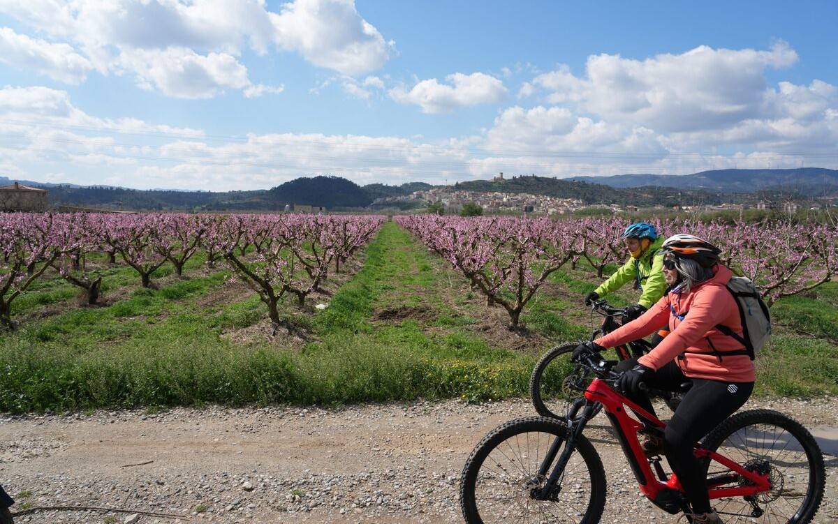 Una nova edició de la Ribera en Flor marca l’inici de la temporada turística a la Ribera d'Ebre