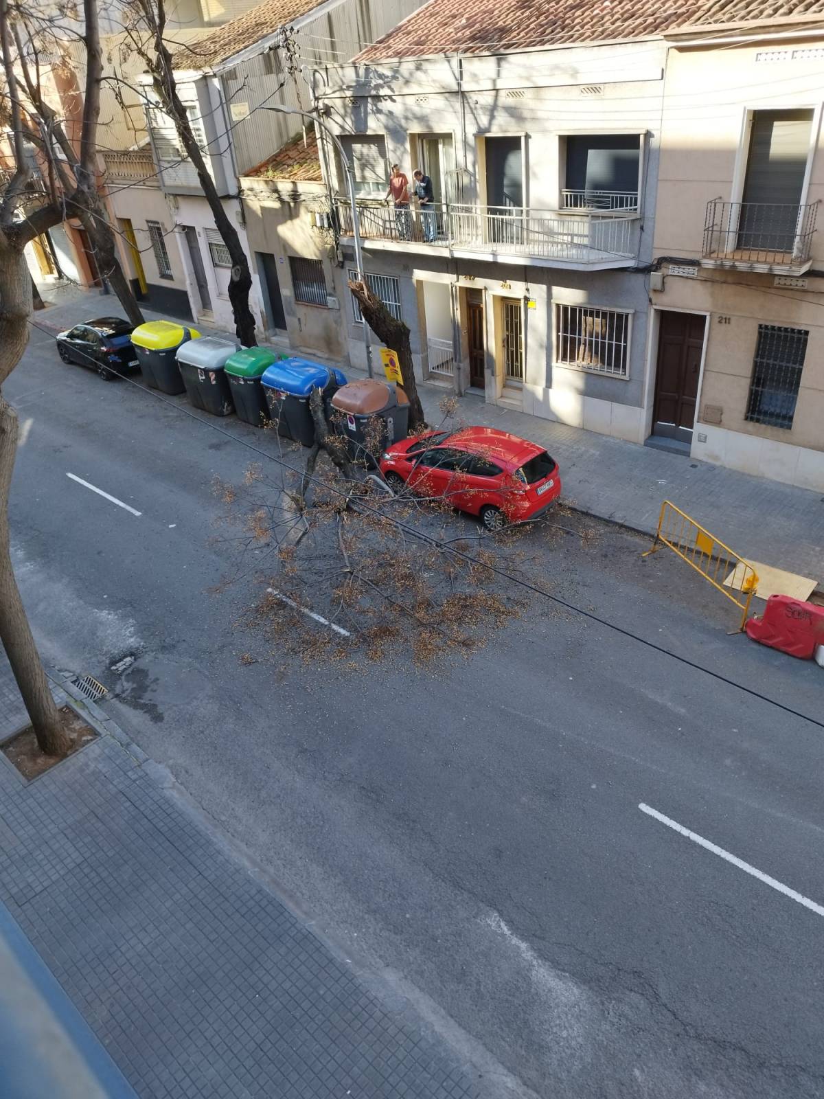Un arbre ocupant la carretera al carrer de Brutau - Juanma Peláez