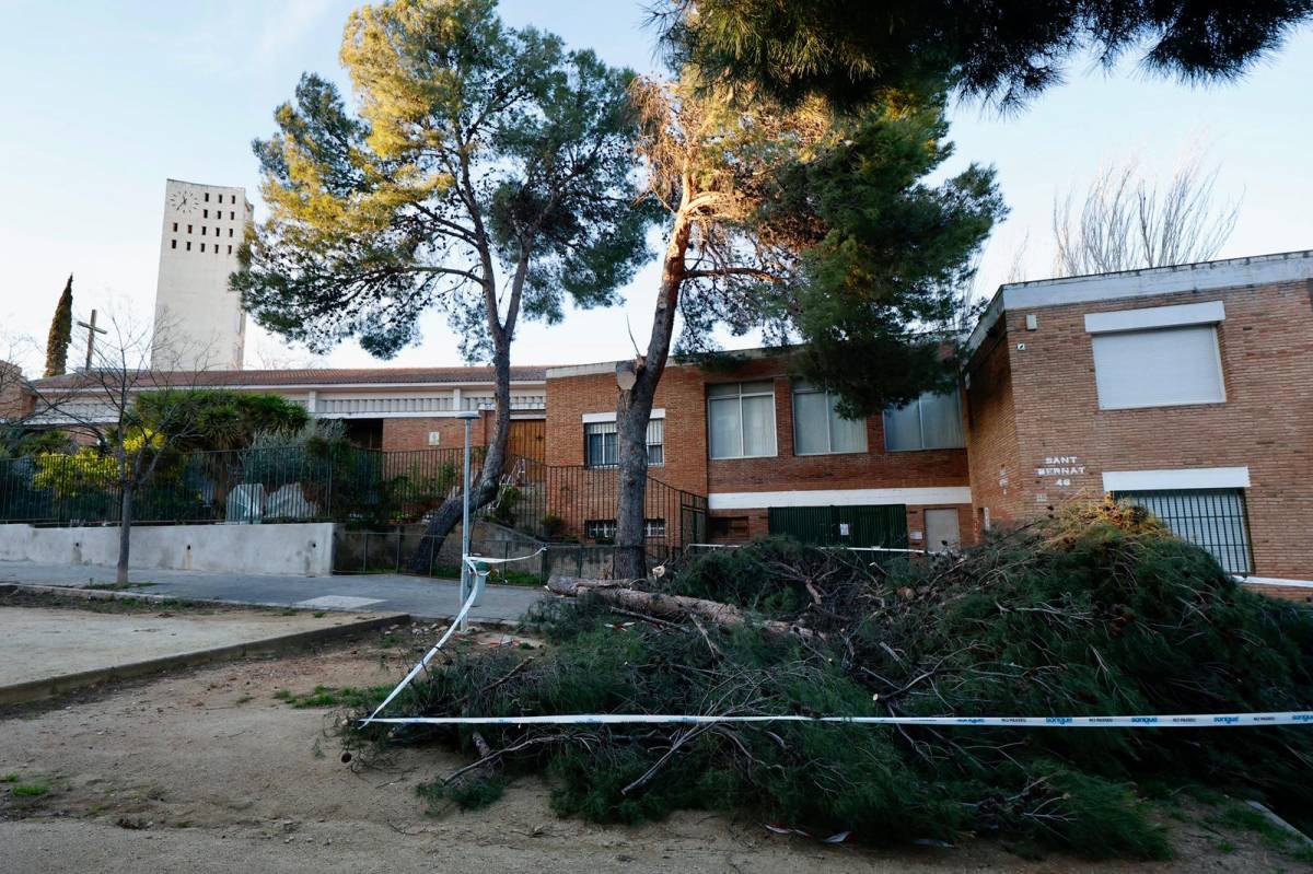 Sabadell i el Vallès miren de recuperar el pols després de la ventada