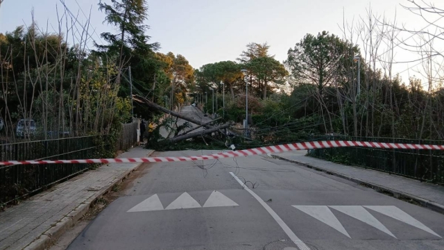 La ventada castiga els municipis de  la comarca