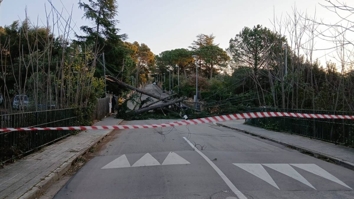 La ventada castiga els municipis de  la comarca