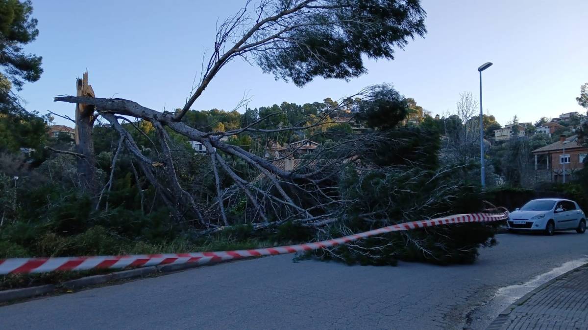 Incident a Matadepera durant la ventada d'aquest dijous - AJUNTAMENT DE MATADEPERA