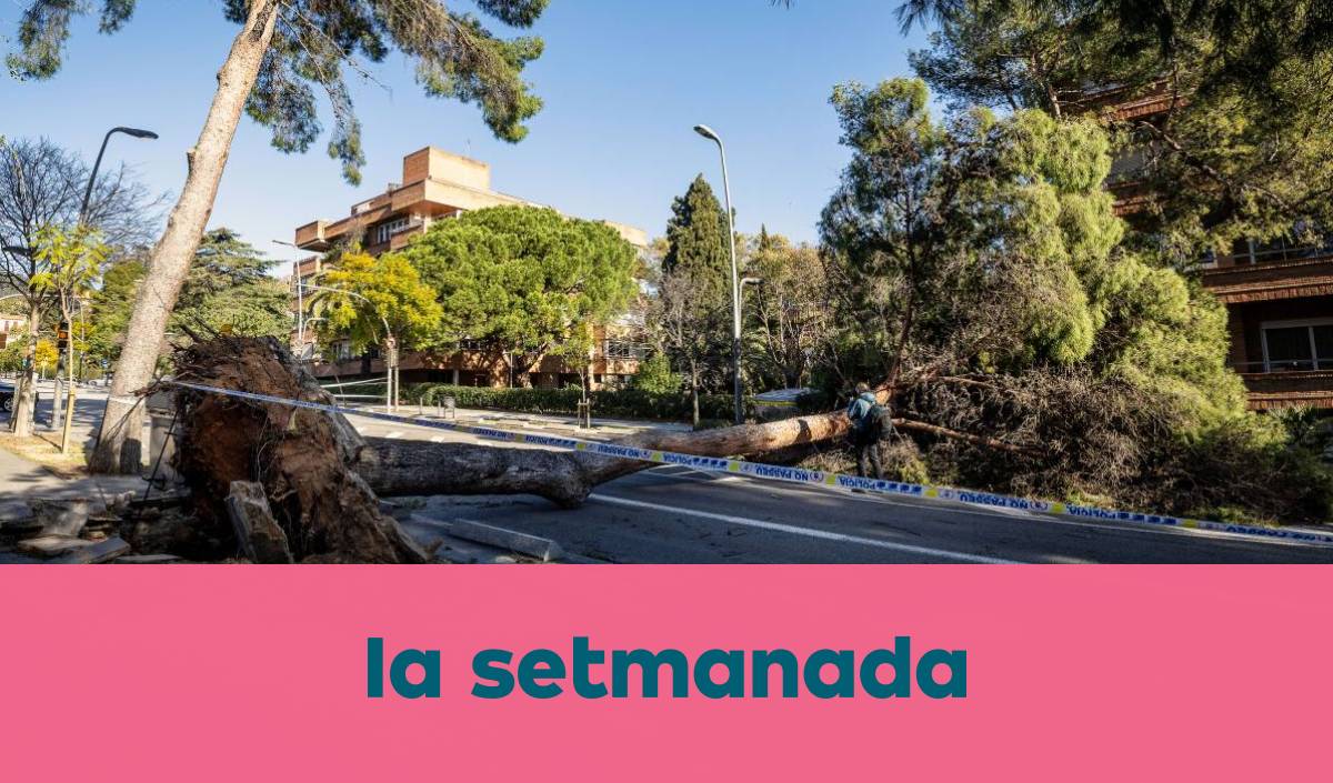 Ventada a «Barcelunya»