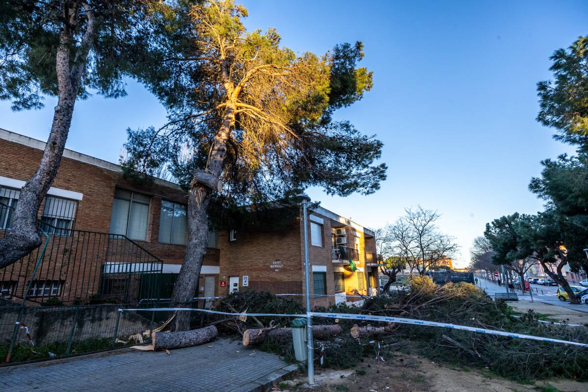 Cap ferit i més d'un centenar d'incidències durant la ventada: "Hi va haver una coordinació excel·lent"