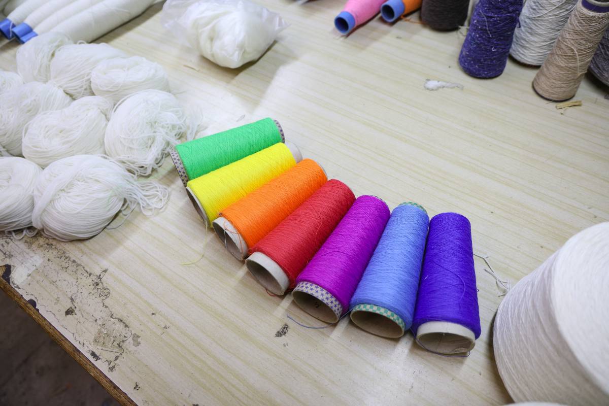 Fils creats provinents d`ovelles gais d`Alemanya