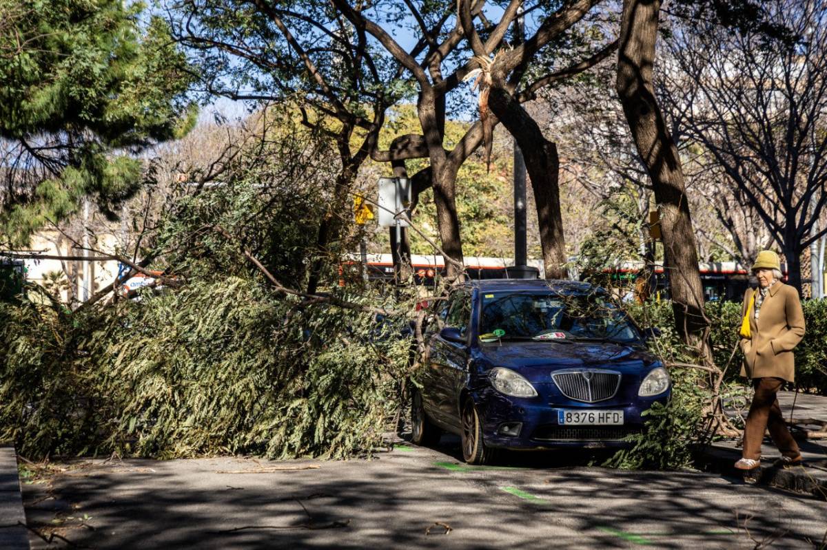 Danys per la ventada? Com reclamar a l'asseguradora i no perdre la indemnització