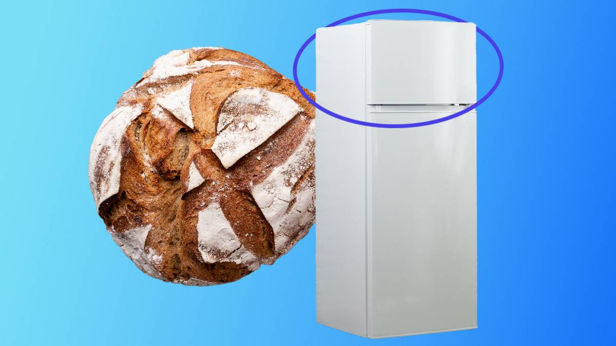 Un expert en longevitat revela com menjar pa per millorar la digestió i la microbiota