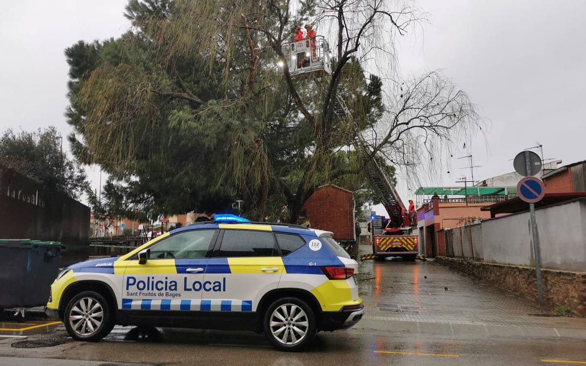 Retiren un arbre a la Rosaleda de Sant Fruitós per risc de caiguda