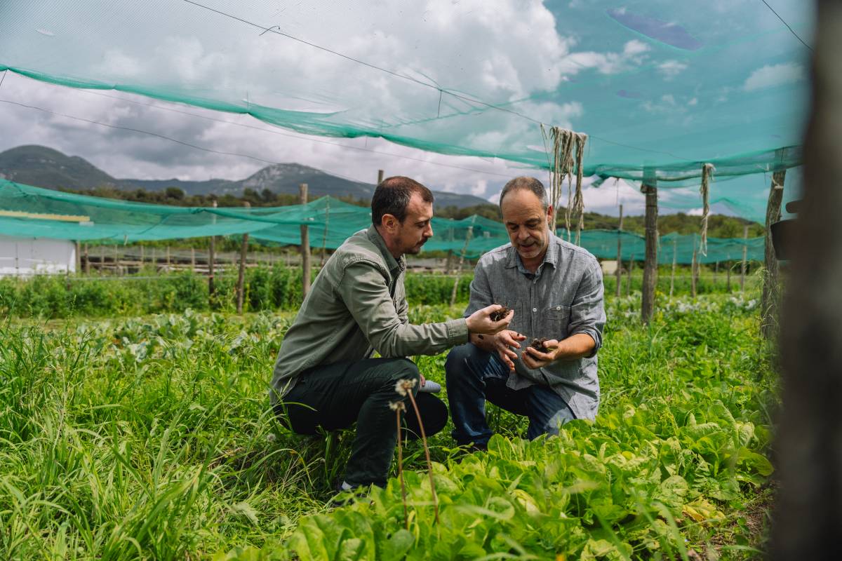 Marc Gràcia és investigador del CREAF i responsable de la finca Planeses - Galdric Mossoll / CREAF