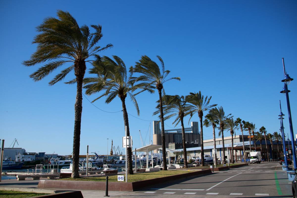 Nou ES-alert per les ventades: ara a les Terres de l'Ebre i el Baix Camp