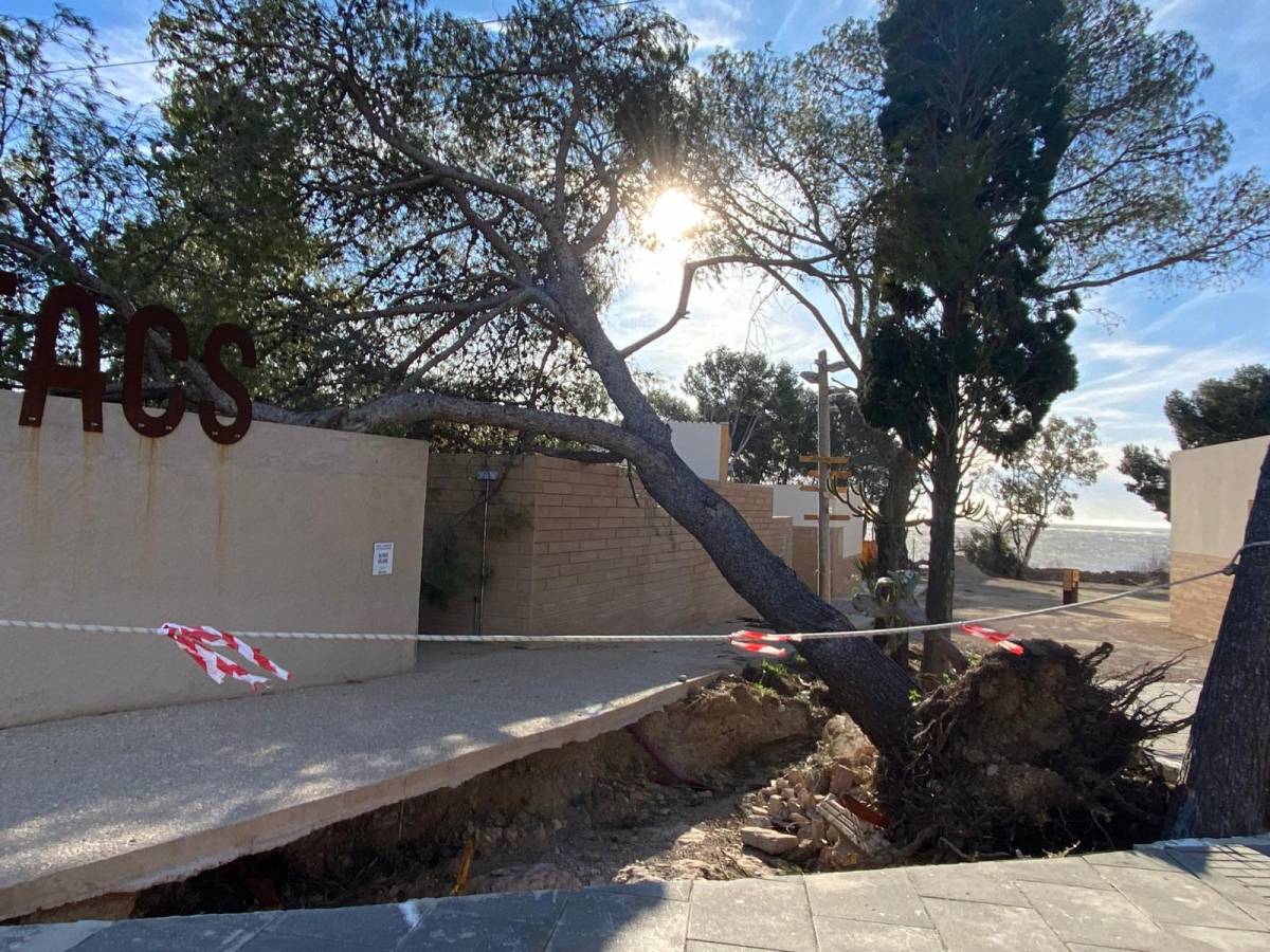 Nou ES-alert per les ventades: ara a les Terres de l'Ebre, Pirineu i Empordà