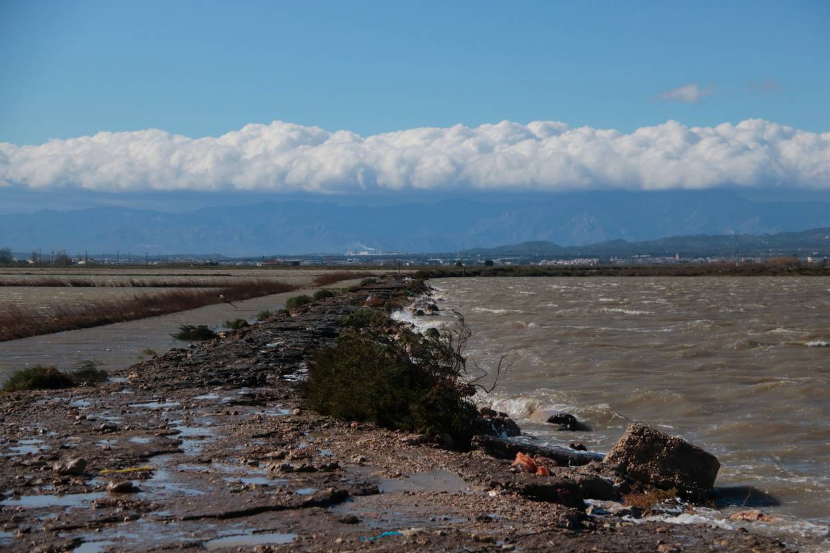 La ventada inunda amb aigua marina més de 400 hectàrees d'arrossars a Deltebre