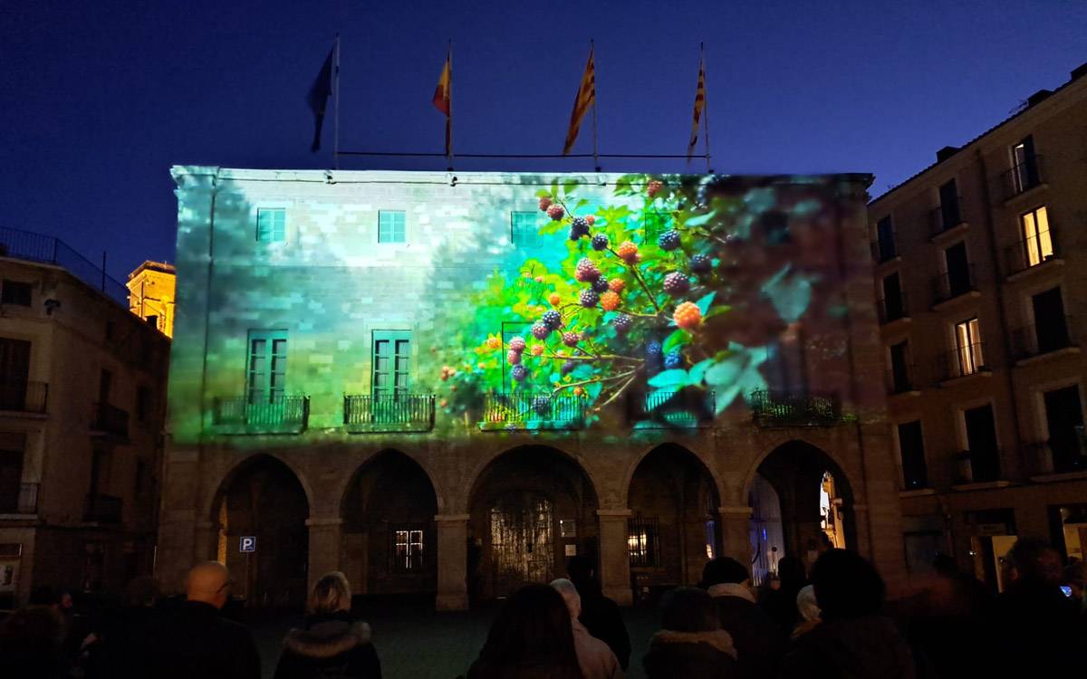 Jardins de Llum transforma el Centre Històric de Manresa amb 22 obres