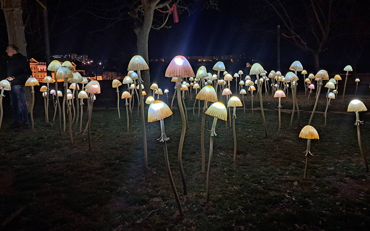 El Parc de la Seu, el paisatge més obert dels Jardins de Llum