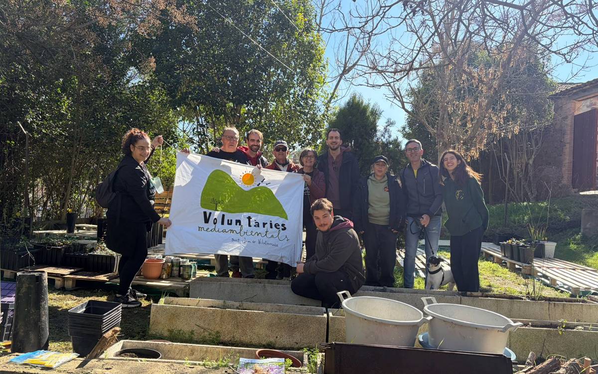 El Viver reforça el projecte verd de Sant Joan amb espècies autòctones